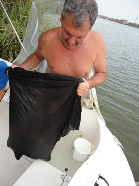 Delta Dunarii - dsc00901.JPG